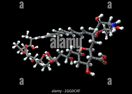 Molecola antifungina di amfotericina B, illustrazione. La formula chimica è C47H73NO17. Gli atomi sono rappresentati come sfere: Carbonio (grigio), idrogeno (bianco), azoto (blu), ossigeno (rosso). Foto Stock