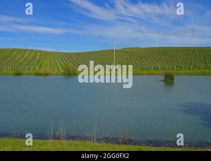 L'elegante azienda vinicola Cuvaison Estate a Carneros Valley, Napa CA Foto Stock