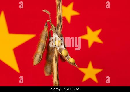 Cialda di soia e pianta dalla bandiera della Cina. Commercio di soia, importazioni, esportazioni e concetto di agricoltura. Foto Stock