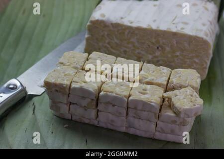 fette di torta di soia fermentata o tempeh per fonti di proteina Foto Stock