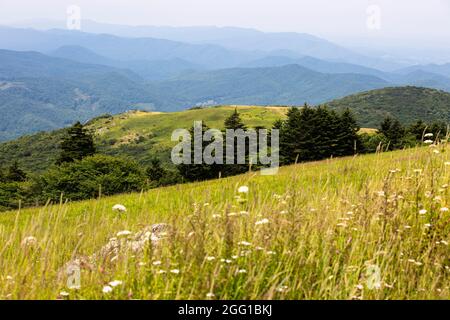 Vista dal monte Whitetop nelle Appalachian Mountains in Virginia Foto Stock