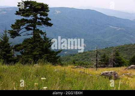 Vista dal monte Whitetop nelle Appalachian Mountains in Virginia Foto Stock