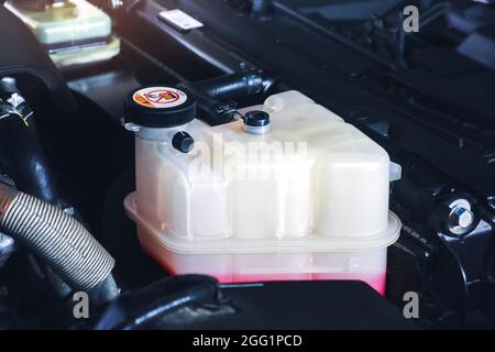 Serbatoio di espansione del liquido di raffreddamento, Serbatoio del liquido di raffreddamento, Liquido del radiatore del collettore del serbatoio di troppo pieno per SUV in alluminio 350 ml