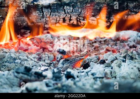 Ciò che rimane dopo che gli effetti di una combustione di legna, ceneri di masterizzazione Foto Stock