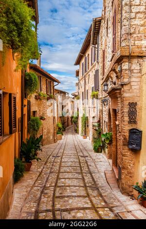 Spello affascinante viale del centro storico in Umbria Foto Stock