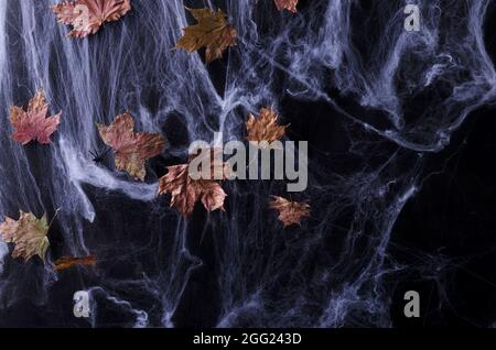 Sfondo di Halloween. Web con foglie secche in un tasto scuro, fuoco selettivo Foto Stock