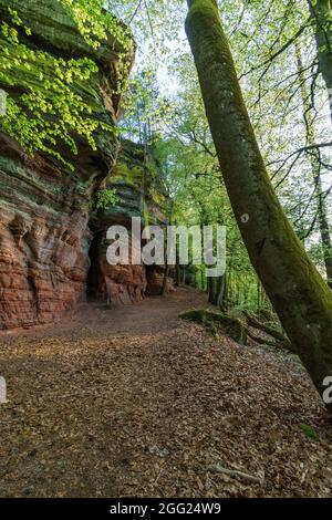 Rockformation di Altschlossfelsen di arenaria rossa nella foresta vicino a Eppenbrunn, Germania Foto Stock