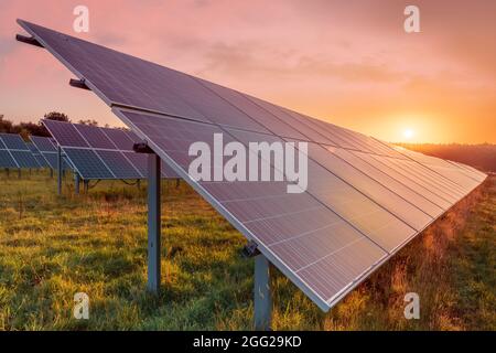 Il sole sorge su una serie di pannelli fotovoltaici in un campo Devon all'alba a fine estate. Foto Stock