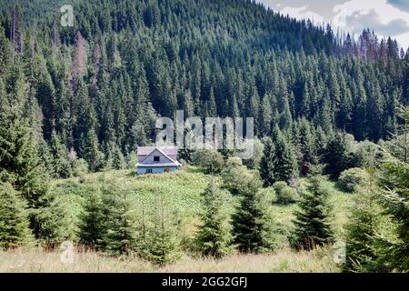 Vecchia casa di villaggio abbandonata circondata da una foresta verde nelle montagne dei Carpazi, Burkut, Ucraina Foto Stock