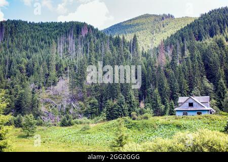 Vecchia casa di villaggio abbandonata circondata da una foresta verde nelle montagne dei Carpazi, Burkut, Ucraina Foto Stock