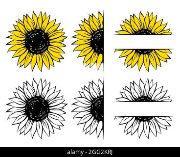 Set di girasole selvatiche, cornice di fiori, illustrazione vettoriale isolata su sfondo bianco. Illustrazione Vettoriale
