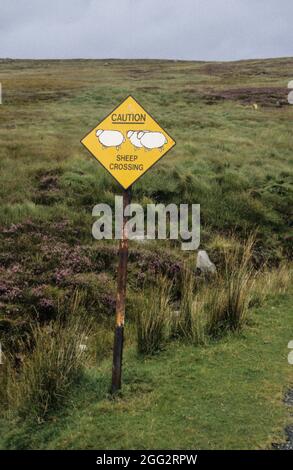 Attenzione all'attraversamento delle pecore: Segnale stradale su una strada nelle montagne di Wicklow. Foto Stock