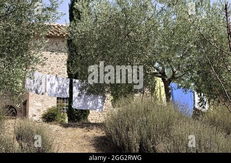 Asciugamani e vestiti appesi ad asciugare nel giardino di una fattoria nella campagna italiana (Toscana, Italia, Europa) Foto Stock