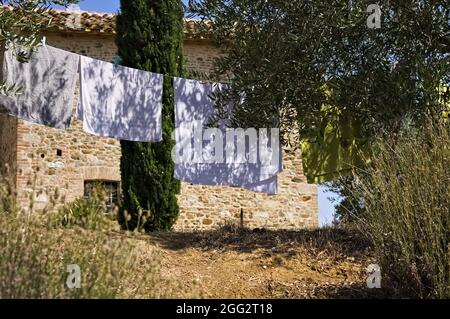 Asciugamani e vestiti appesi ad asciugare nel giardino di una fattoria nella campagna italiana (Toscana, Italia, Europa) Foto Stock