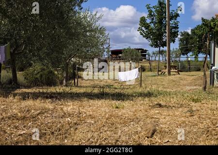 Asciugamani e vestiti appesi ad asciugare nel giardino di una fattoria nella campagna italiana (Toscana, Italia, Europa) Foto Stock