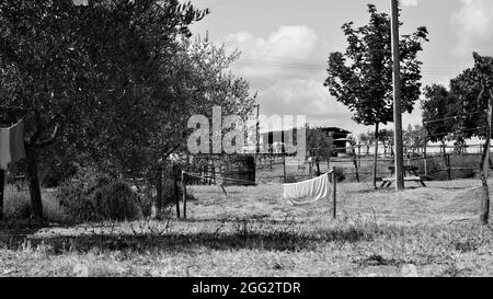 Asciugamani e vestiti appesi ad asciugare nel giardino di una fattoria nella campagna italiana (Toscana, Italia, Europa) Foto Stock