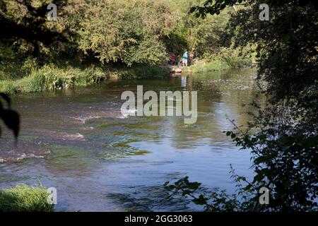 Pescatori in attraente luogo di pesca isolato vicino allo stramazzo sulle rive del fiume Avon Offenham Regno Unito Foto Stock