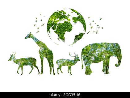 Il World Wildlife Day silhouette della foresta sotto forma di animali selvatici e concetto di conservazione della foresta Foto Stock