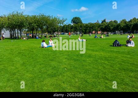 Amsterdam, Olanda, persone che siedono su Grass in Field, godendo di scene del Parco pubblico, quartiere dei musei, Museumplein Foto Stock