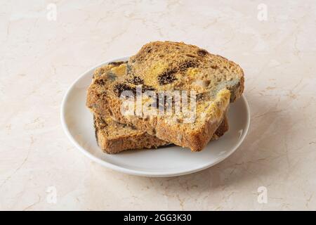 Pane ammuffito su un piattino. Diversi tipi di muffa per il pane. Due fette di pane di segale di frumento con muffa fungina verde, gialla e nera. Forgi su pane guastato. Foto Stock