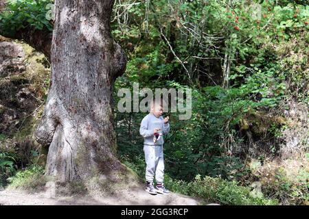 Bambini nella Foresta di Penrith Foto Stock