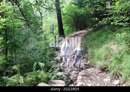 Bambini nella Foresta di Penrith Foto Stock