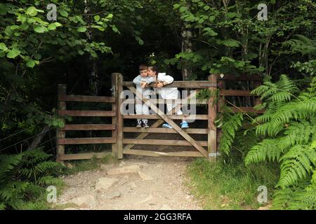 Bambini nella Foresta di Penrith Foto Stock
