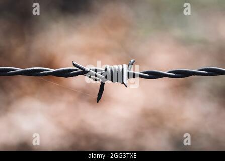 Primo piano macro di acciaio o metallo recinto utilizzato per tenere gli animali al loro posto Foto Stock