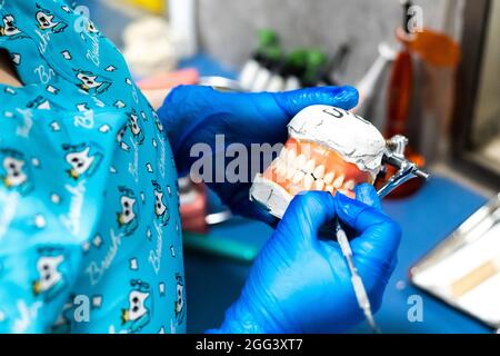 Mani che tengono una mascella artificiale. Protesi dentaria. Denti in porcellana di zirconio Foto Stock