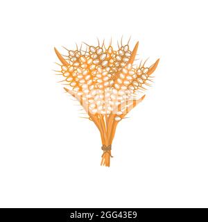 Spikelets di grano su sfondo bianco. Un mazzo di orecchie isolato vettore illustrazione Illustrazione Vettoriale