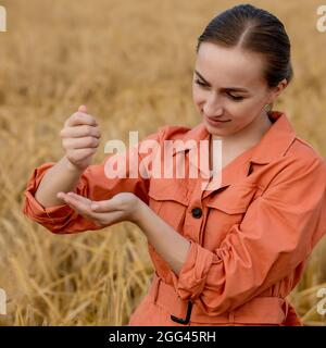 Un agricoltore o agronomo femmina sta versando grani di grano nelle sue mani. Concetto di raccolto maturo. Controllo della qualità della granella. Foto Stock