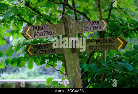 Sentieri in legno di campagna a West Sussex, Regno Unito. 2021 Foto Stock