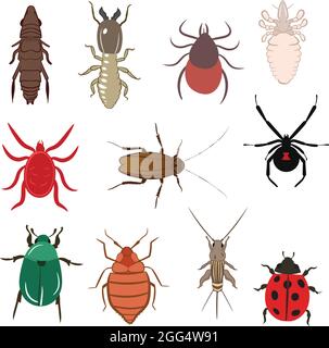 Big Set of Flea Lice Tick Termite Bedbug Cockroach Spider Ladybug Cricket Mite Beetle Vector Illustrazione riempire e contorno isolato su Backgroun bianco Illustrazione Vettoriale