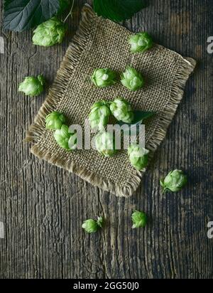 coni di piante di luppolo fresco verde su vecchio tavolo di legno, vista dall'alto Foto Stock