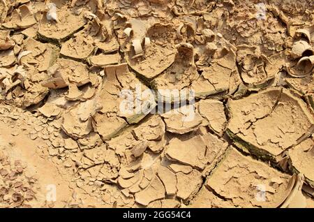 Lago asciutto nel processo di siccità e mancanza di pioggia o umidità. Disastro naturale globale. Il suolo incrinato della terra a causa del cambiamento climatico. Hydrolo Foto Stock