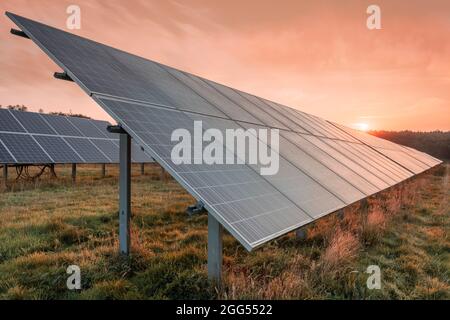 Il sole sorge su una serie di pannelli fotovoltaici in un campo Devon all'alba a fine estate. Foto Stock