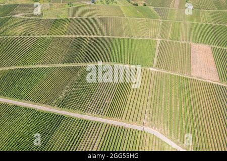 Vista aerea dei vigneti di Ellenz-Poltersdorf sul fiume Mosella, Germania Foto Stock