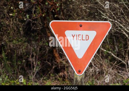 Segno americano per cedere al traffico in una zona rurale in estate Foto Stock