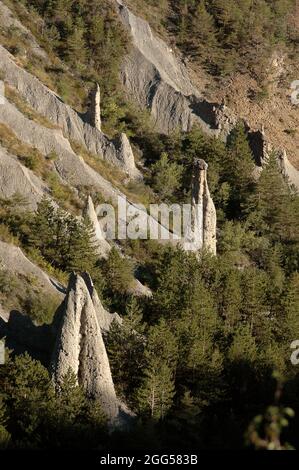 FRANCIA. REGIONE DELLA PROVENZA. HAUTES-ALPES (05) I DEMOISELLES COIFFEES DI THEUS (O PILASTRI DI TERRA) Foto Stock