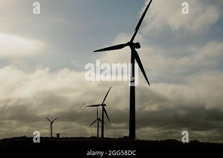 FRANCIA. REGIONE BRETAGNA. FINISTERE (29) CAP SIZUN. TURBINE EOLICHE LUNGO LA STRADA PER BEUZEC Foto Stock