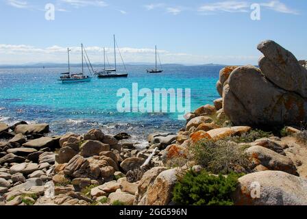 FRANCIA. CORSICA DEL SUD (2A) ISOLE LAVEZZI. RISERVA NATURALE Foto Stock