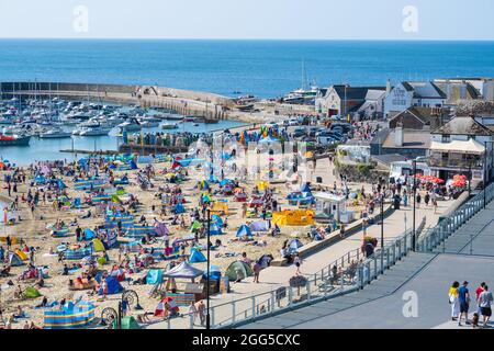 Lyme Regis, Dorset, Regno Unito. 29 agosto 2021. UK Meteo: I turisti e le famiglie si affollano alla spiaggia popolare presso la stazione balneare di Lyme Regis per assorbire il sole caldo e il cielo blu limpido durante il fine settimana di vacanza in banca. Con il glorioso tempo soleggiato impostato per continuare in Bank Holiday Lunedi, le spiagge e resort lungo la costa meridionale sono attesi per essere ancora più imballate del solito, come più persone godono di staycations nel Regno Unito questa estate. Il credito: Celia McMahon/Alamy Live News Foto Stock