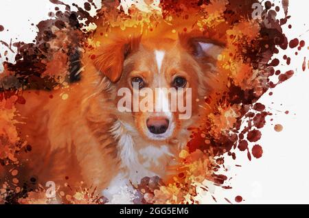 Un cane rosso di razza mista. Ritratto di un animale divertente con un orecchio piegato. Pittura digitale ad acquerello Foto Stock