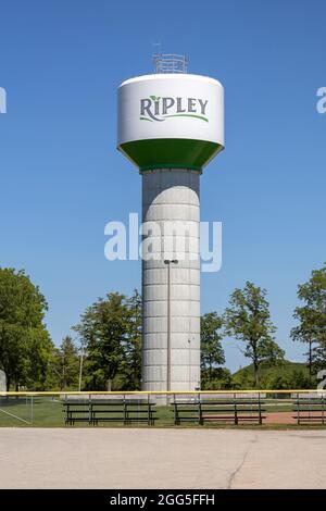 Ripley Municipal Water Tower nella città di Ripley Ontario Canada, Water Tower fornisce la pressione dell'acqua per l'acqua di rubinetto Foto Stock