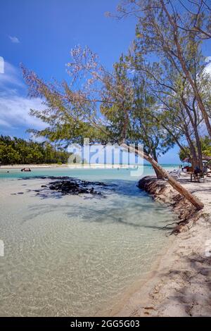 L'acqua limpida e spiagge bianche in Ile aux Cerfs, Mauritius Foto Stock