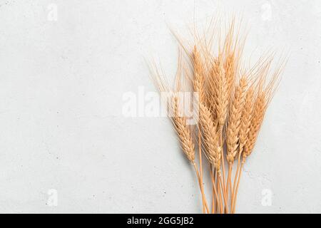 I spikelets di grano si avvicinano su uno sfondo grigio. Foto Stock