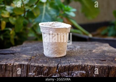 Singolo vaso riciclato di potatura su una superficie di legno usato invece di pentole di plastica. Foto Stock