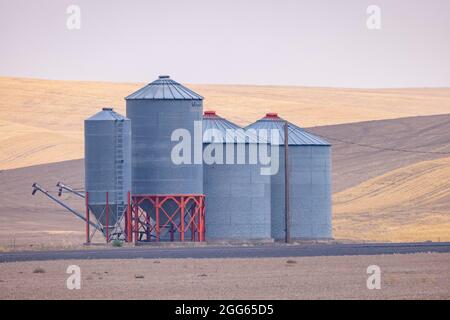 Granai metallici, regione di Palouse, stato di Washington, Stati Uniti Foto Stock