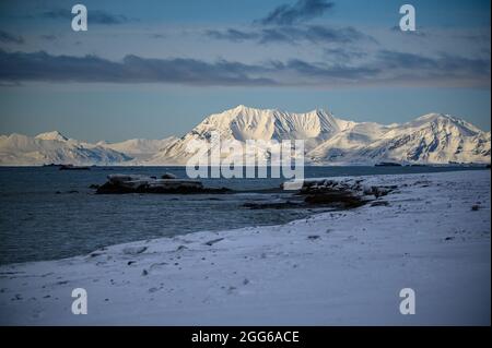 Paesaggio invernale artico a Kapp Linnè, Isfjorden e montagne innevate, Spitsbergen, Svalbard, Norvegia Foto Stock