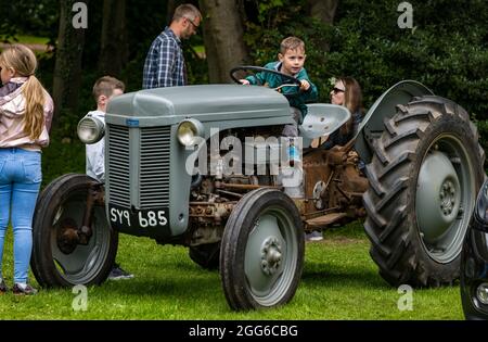 Newhailes, Musselburgh, East Lothian, Scozia, Regno Unito, 29 agosto 2021. Rally in classe: Si svolge un evento all'aperto chiamato Carhailes, con veicoli d'epoca in mostra. Nella foto: Un ragazzo è seduto su un trattore Ferguson vintage del 1950 Foto Stock